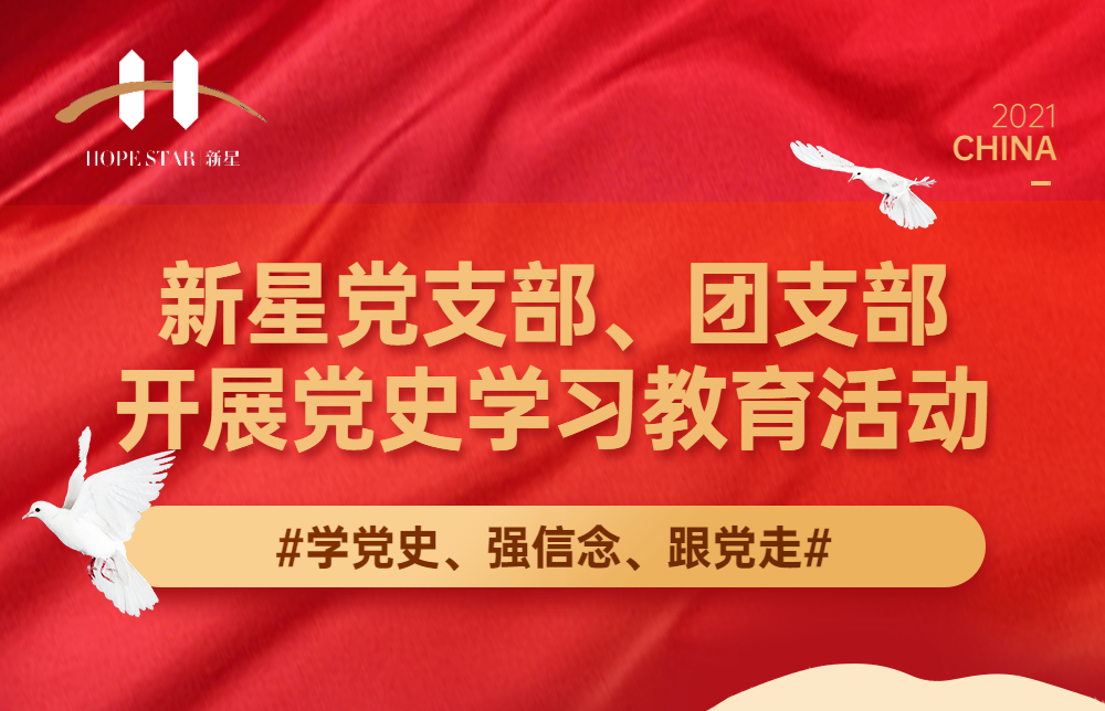 新星党支部、团支部开展党史学习教育活动